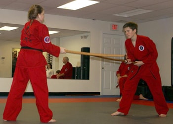 FMA Hapkido