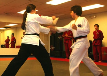 FMA Hapkido