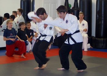 FMA Hapkido